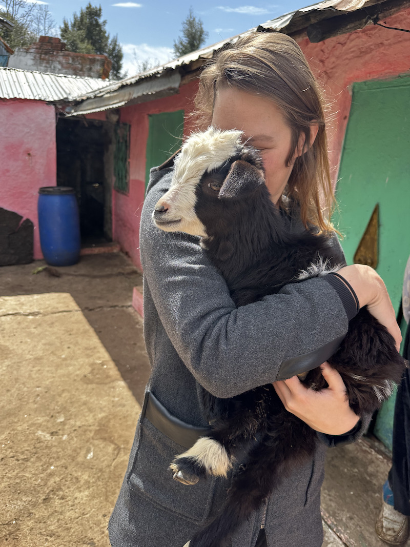 Knuffelen met babygeitjes